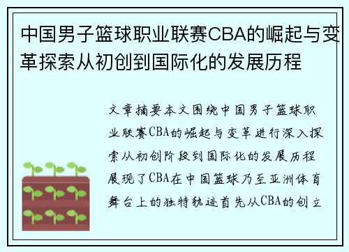中国男子篮球职业联赛CBA的崛起与变革探索从初创到国际化的发展历程