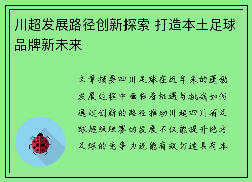 川超发展路径创新探索 打造本土足球品牌新未来